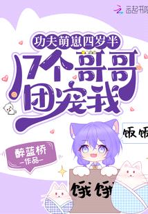 功夫萌崽四岁半,17个哥哥团宠我