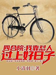 四合院:我靠怼人过上好日子